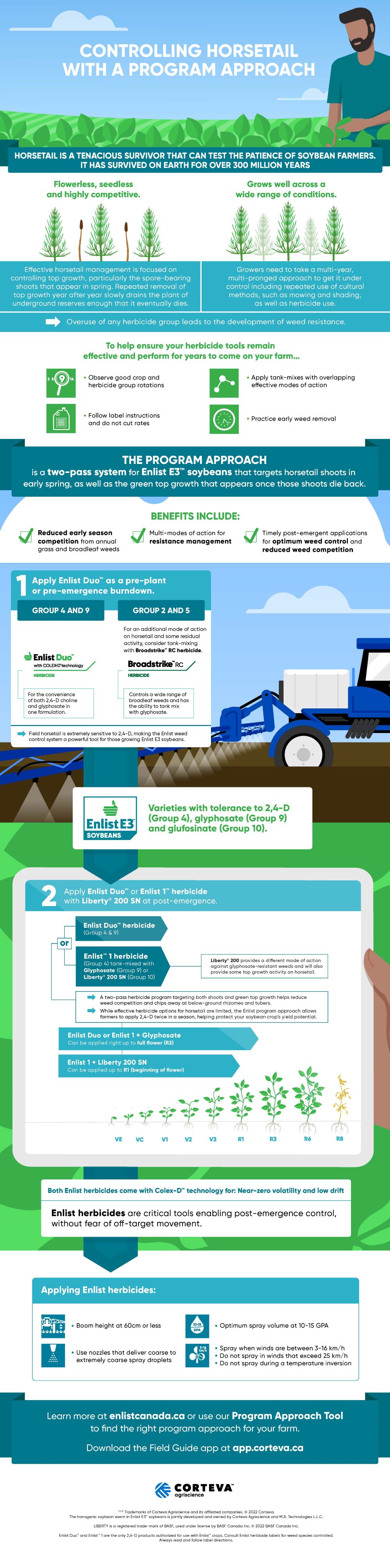 controlling horsetail infographic