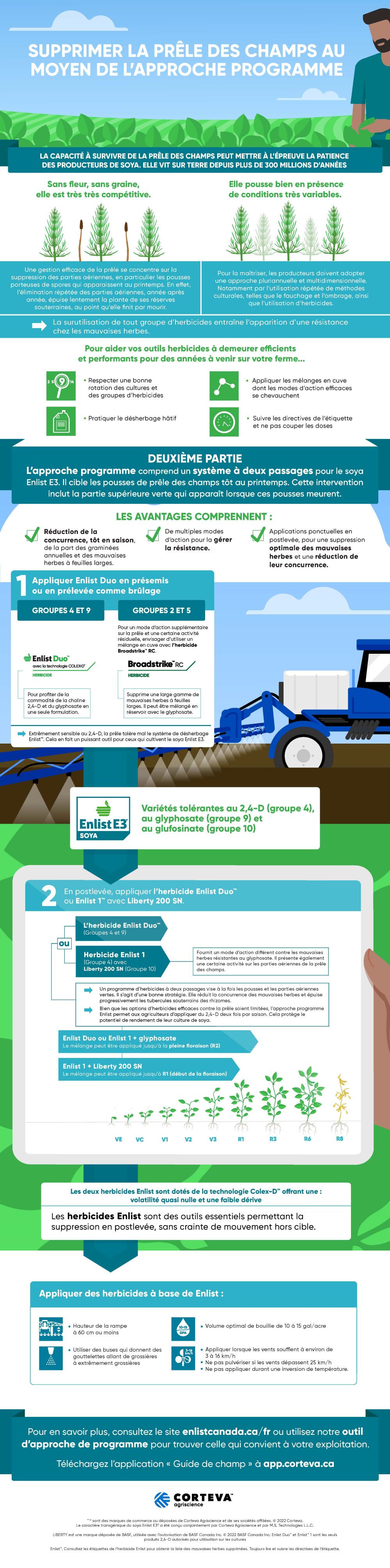Infographie