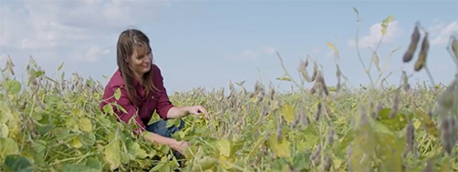 Farmer ‘Ecstatic’ About Enlist Duo® Herbicide Performance