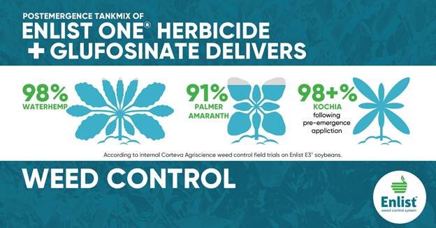 A blue and white banner with green and white flowers

AI-generated content may be incorrect.